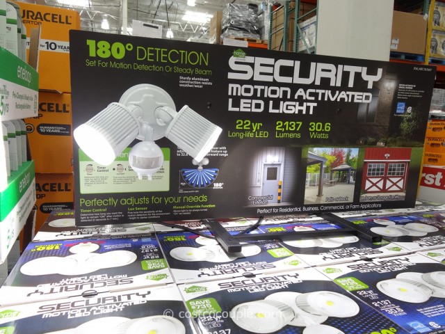 home zone security motion light